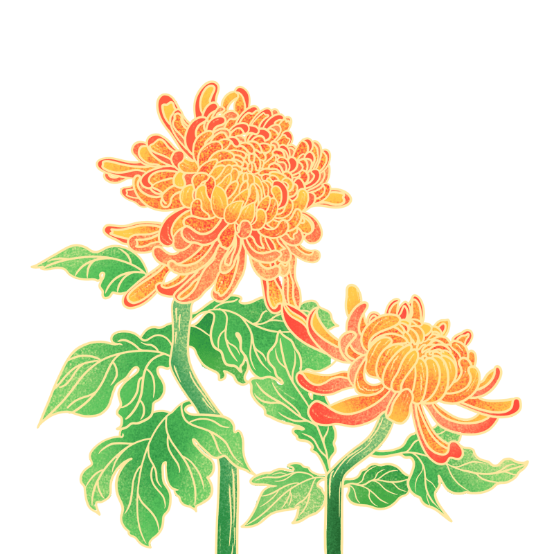 古风带枝叶菊花元素