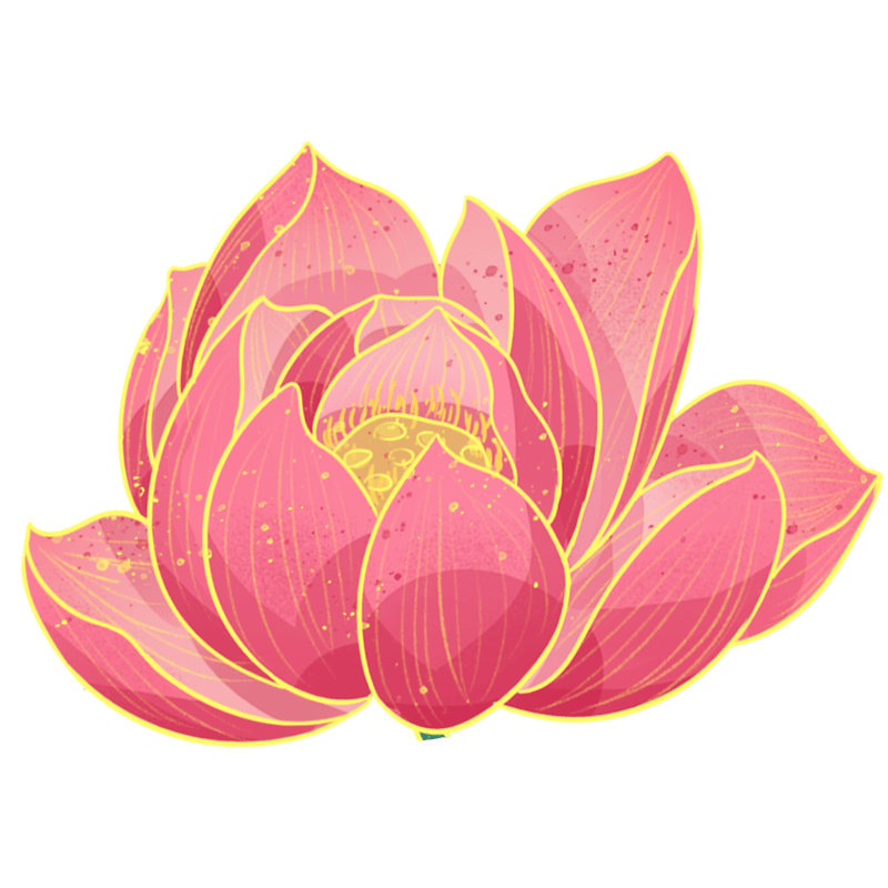 国潮荷花插画