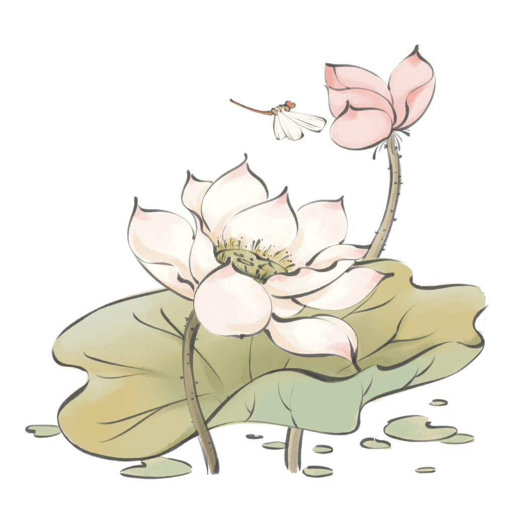 工笔荷花水墨插画