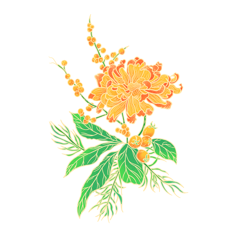 国潮菊花插画