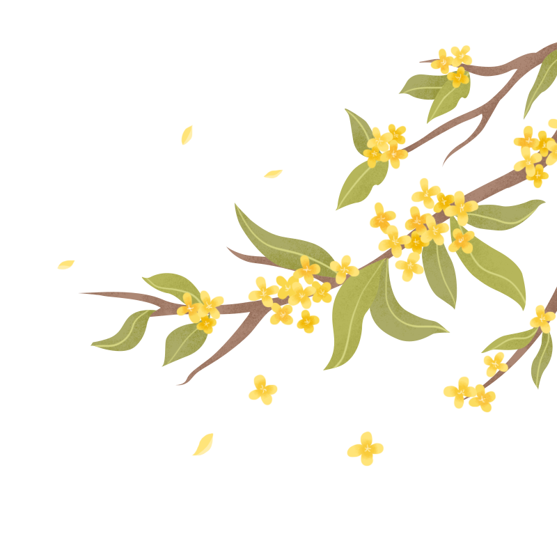 植物系列国风工笔画桂花枝
