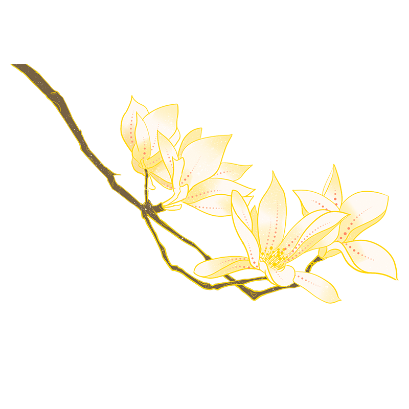 国潮花卉插画