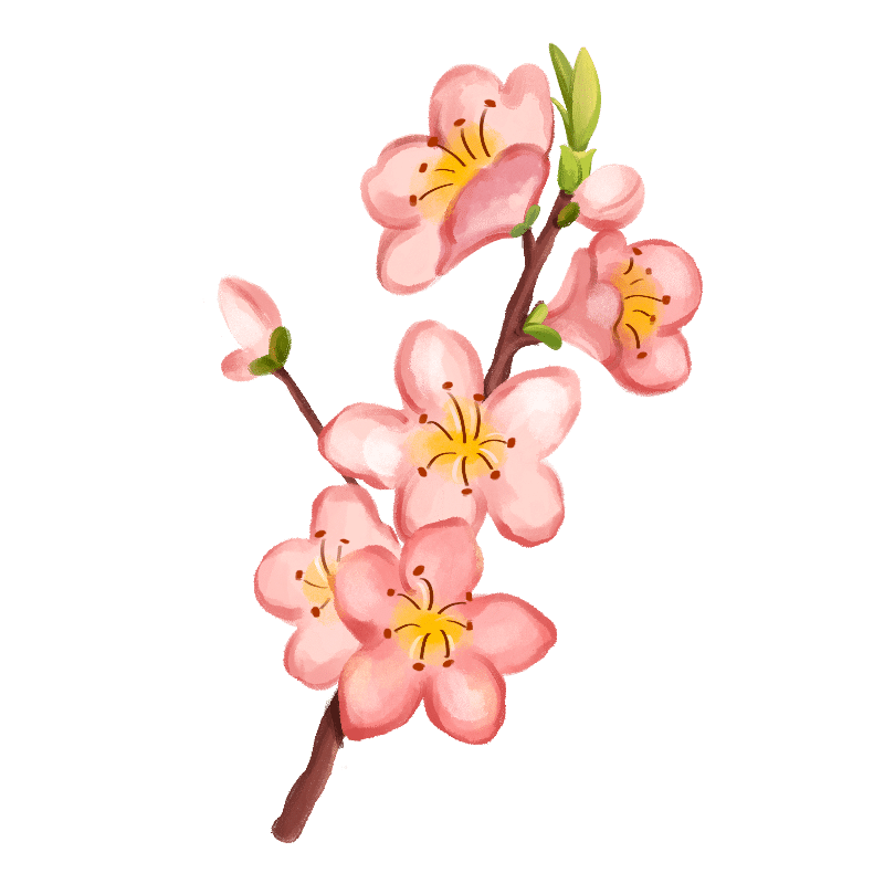 植物通用清新插画花朵