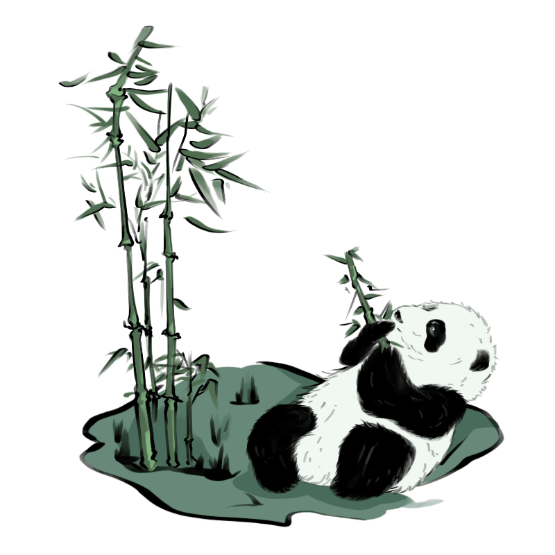 动物系列国潮熊猫