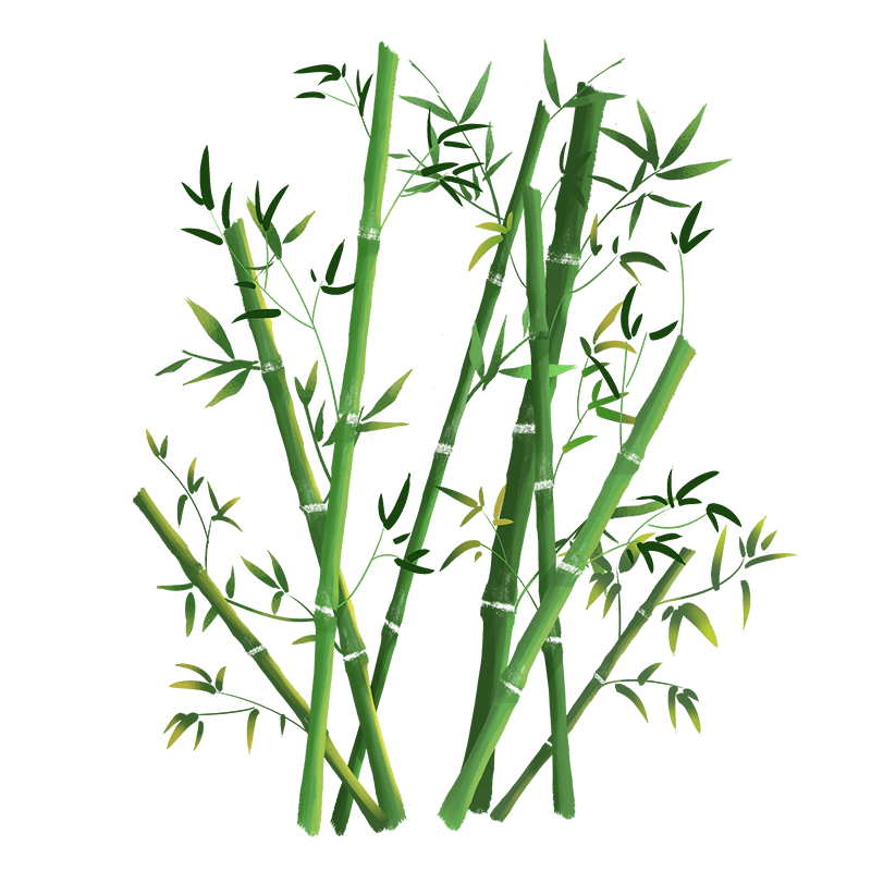 植物系列中国风竹子植物元素