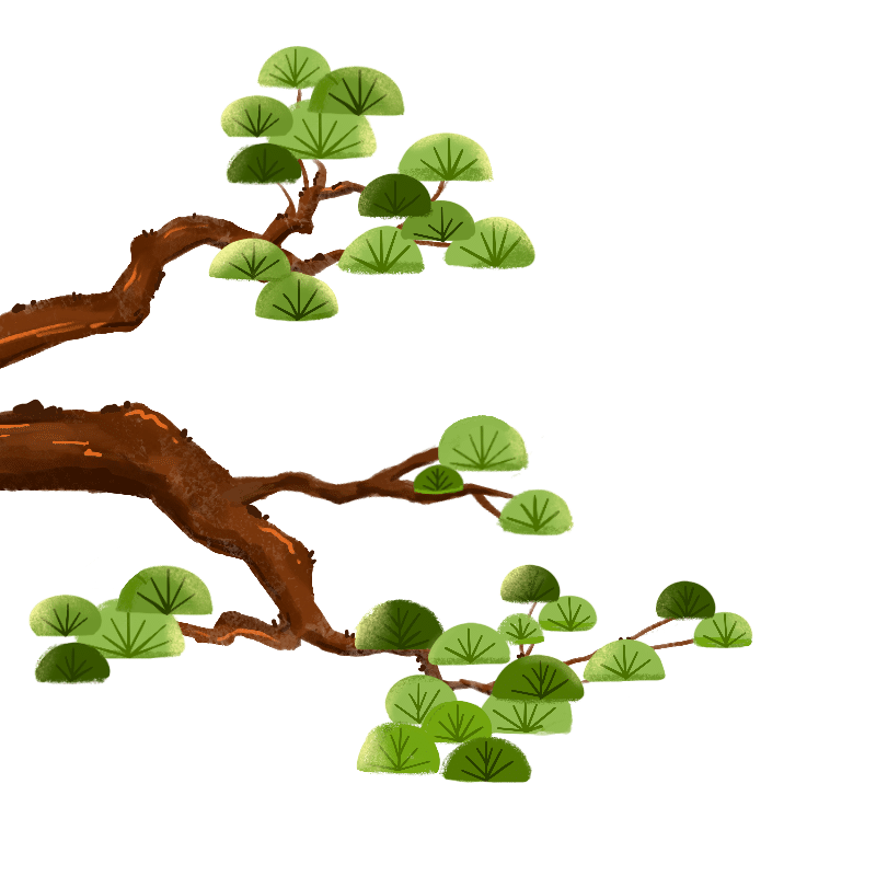 国潮植物松树