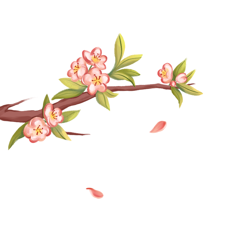 古风素材 花枝