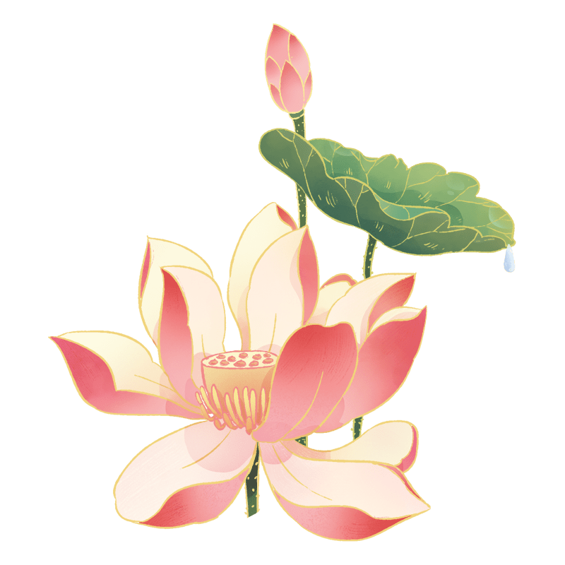 新中式｜荷花