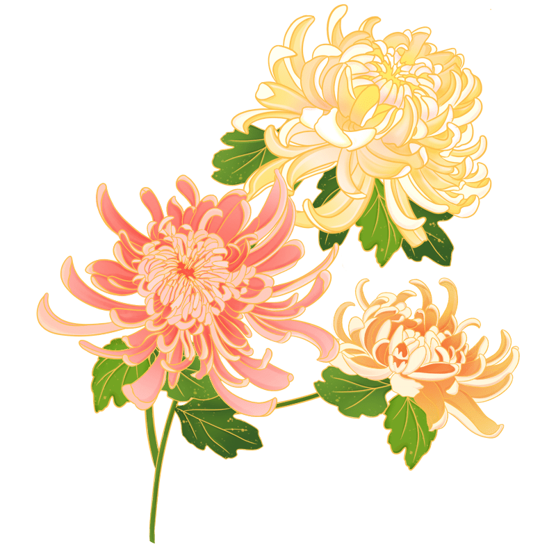 古法水墨花朵菊花
