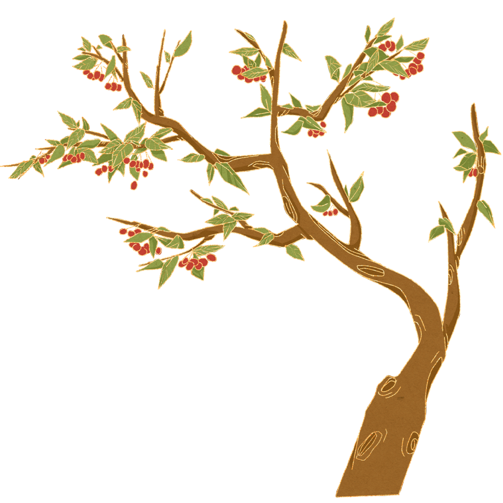 国风重阳节枸杞树