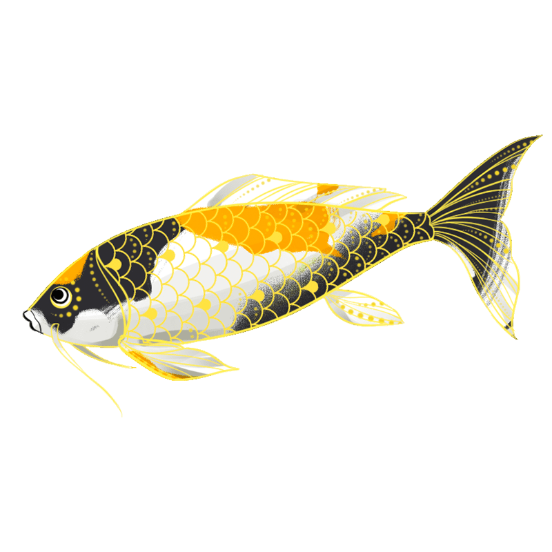 春节氛围元素插画锦鲤