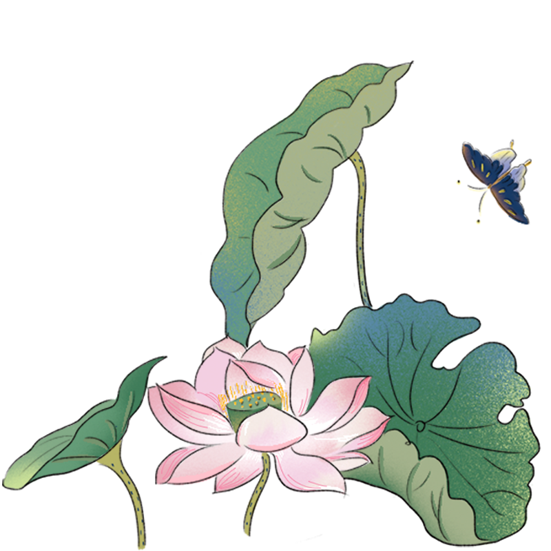 夏天古风插画荷花荷叶