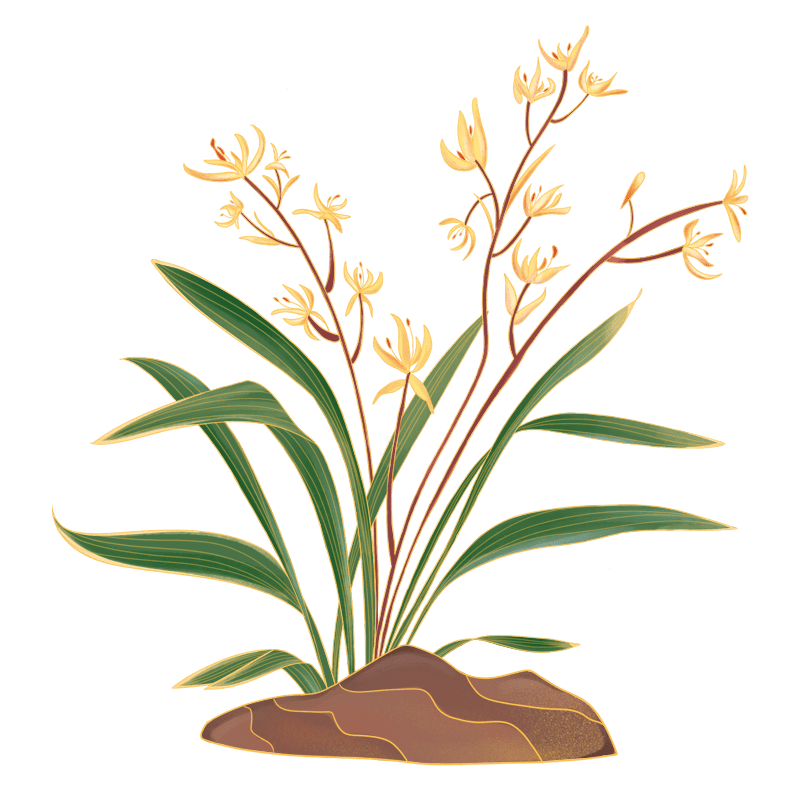 国潮花朵植物