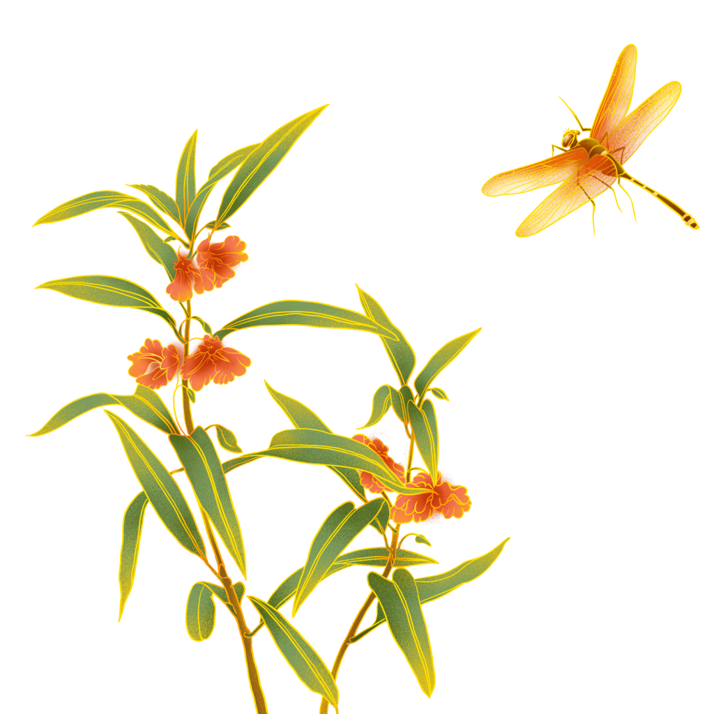 中国风-国潮植物元素