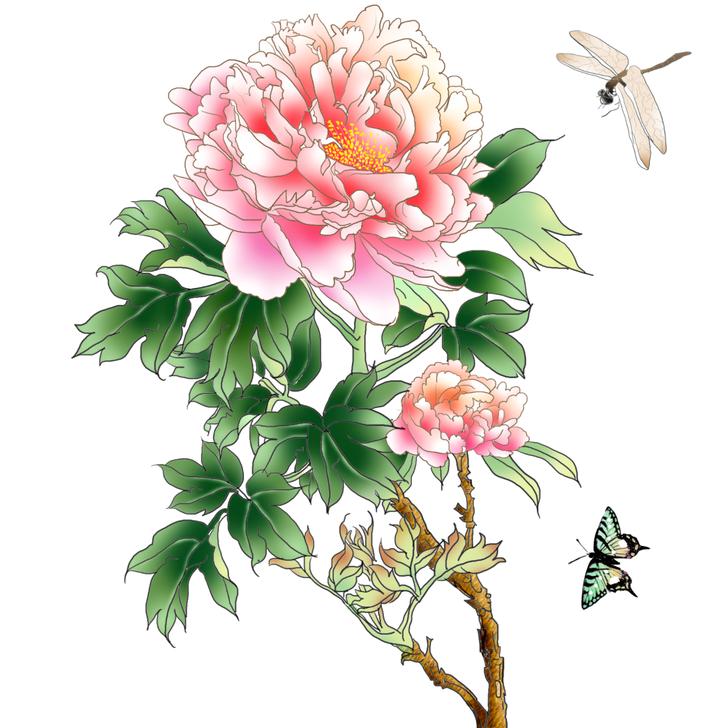 插画牡丹花元素