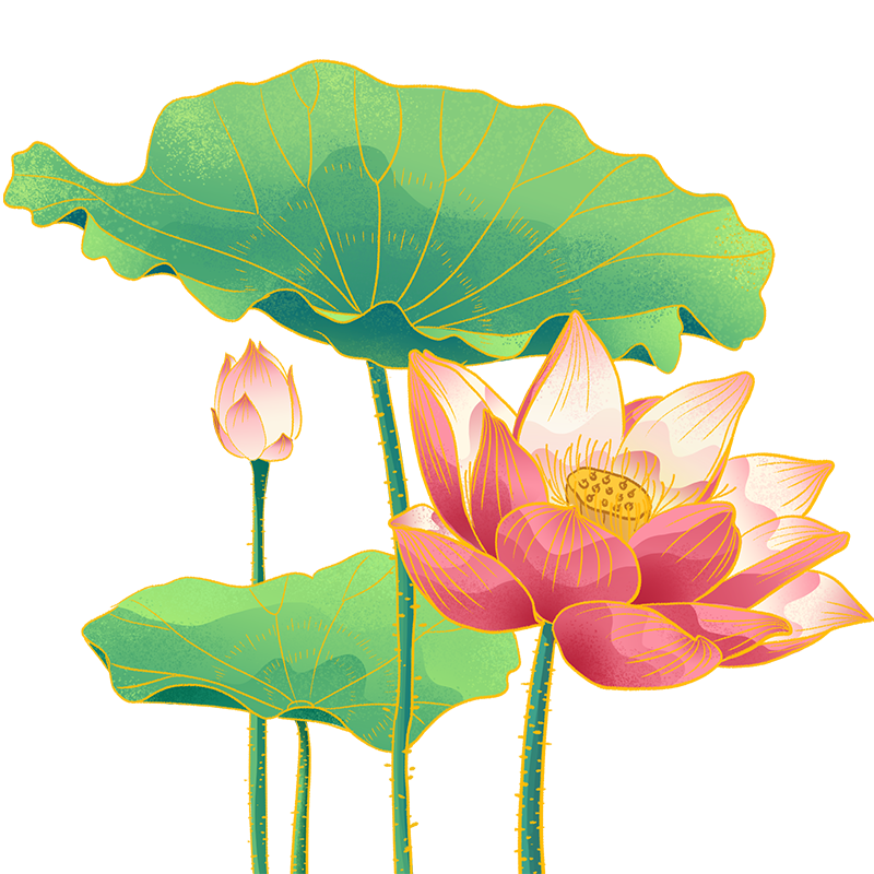 国潮夏天清新荷花