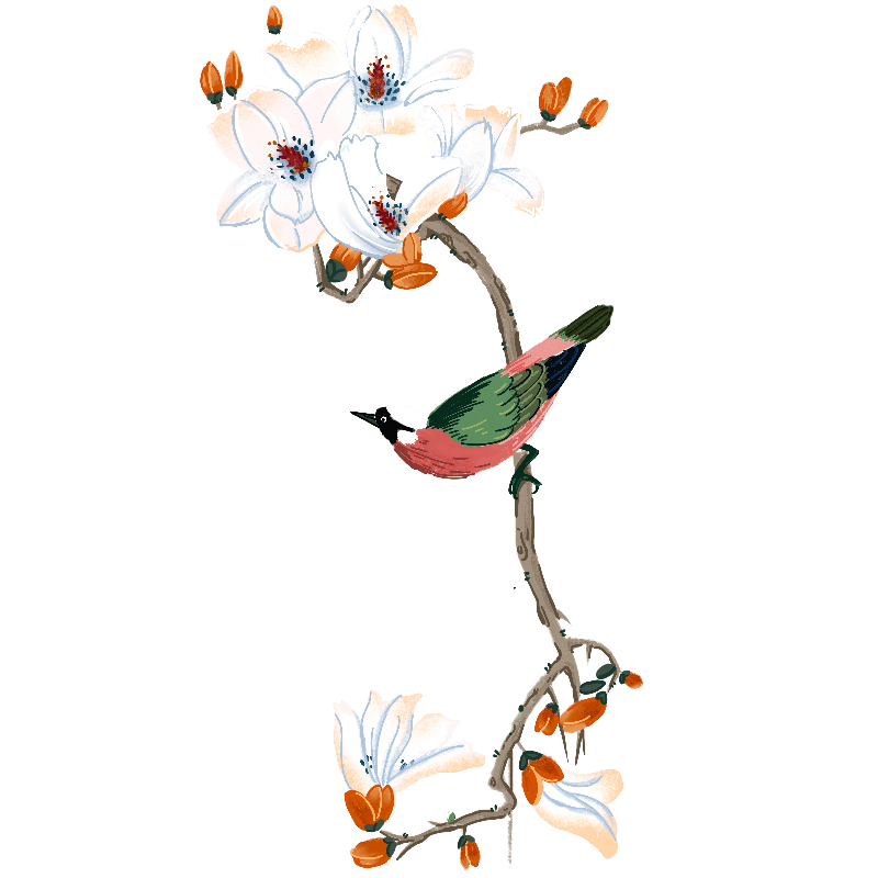 中国古风水墨花手绘