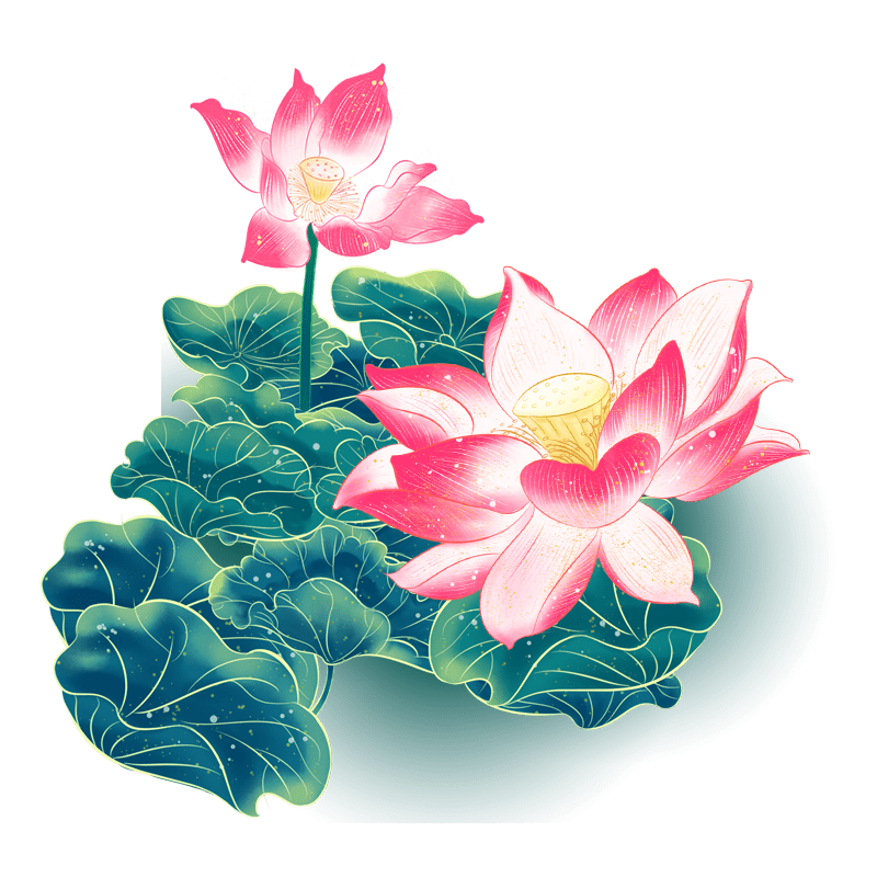 中国风水彩荷花花卉
