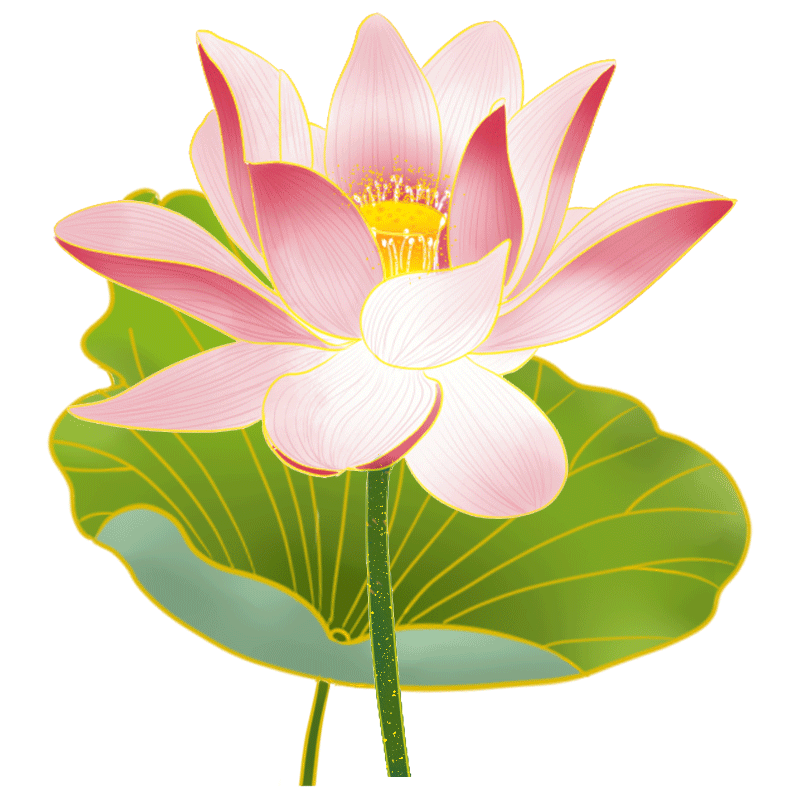 国潮荷花荷叶免抠元素