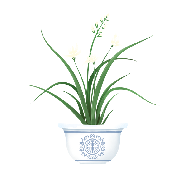 国潮中国风盆栽