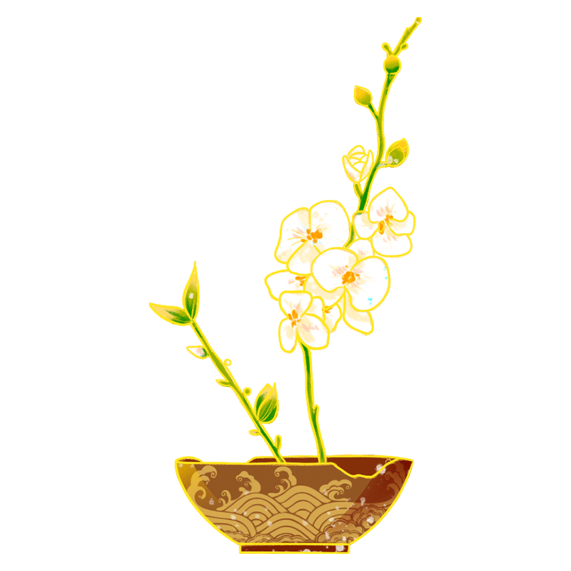 中国风植物花卉-盆栽