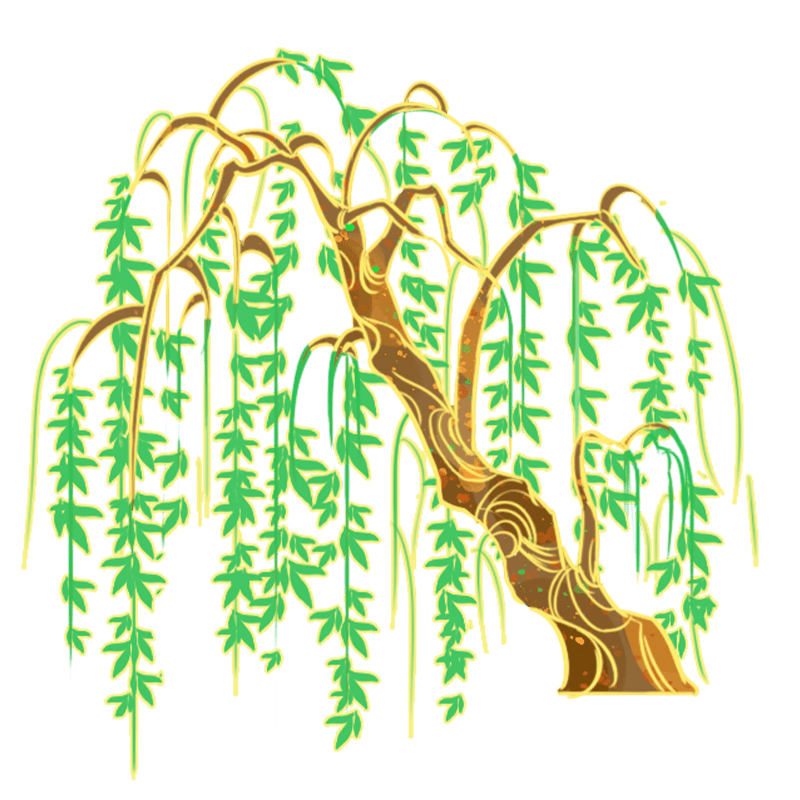 国潮柳树插画
