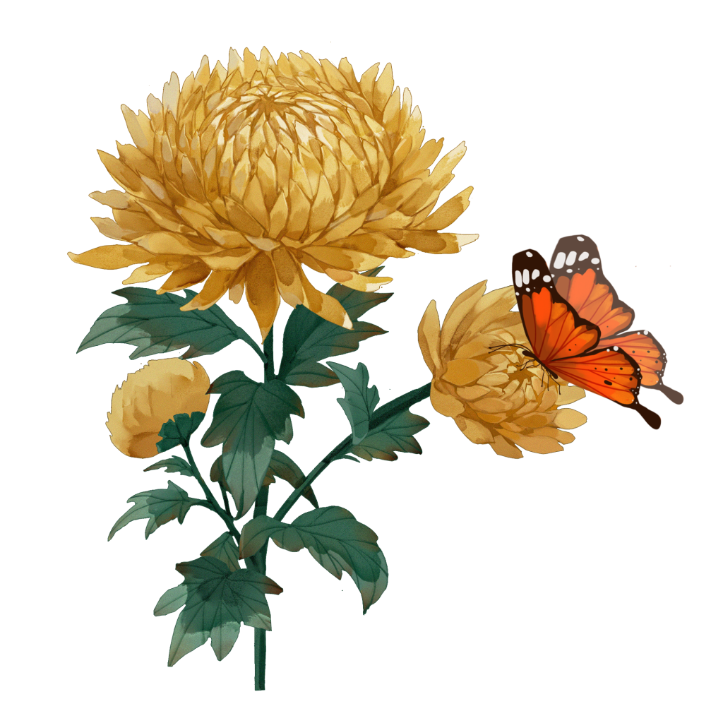 菊花 国潮 装饰