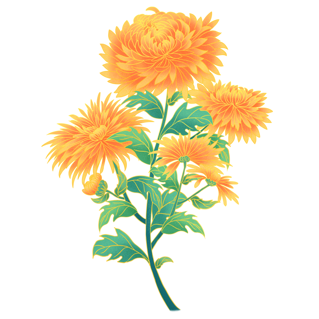 国潮菊花元素插画