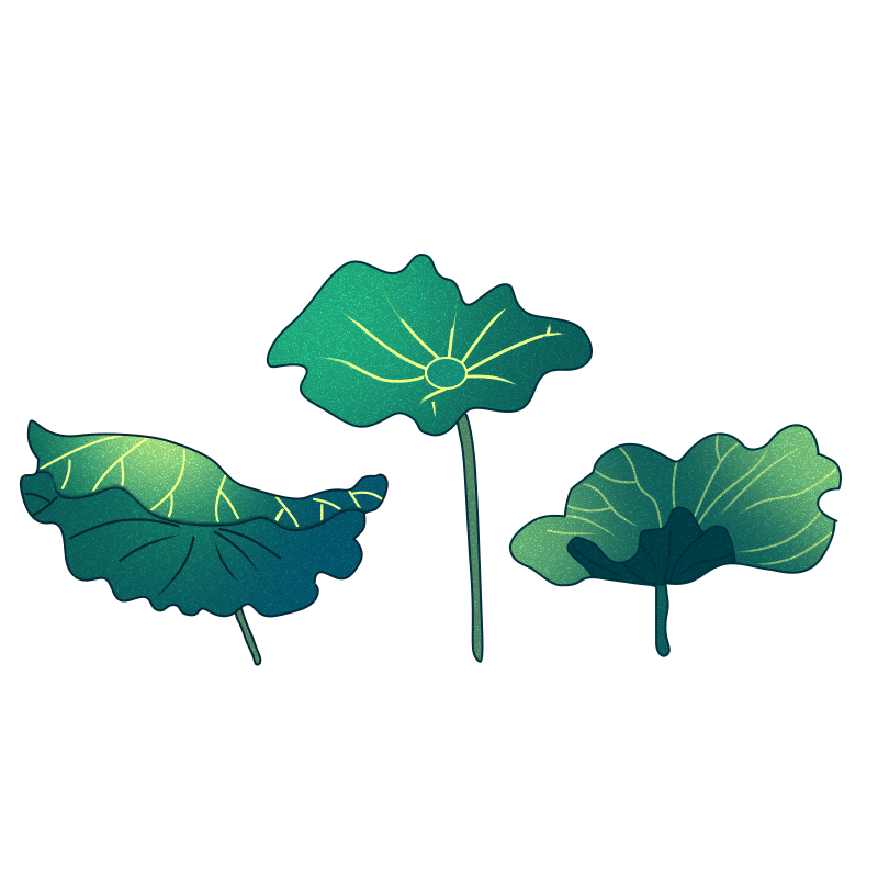 国风荷叶插画