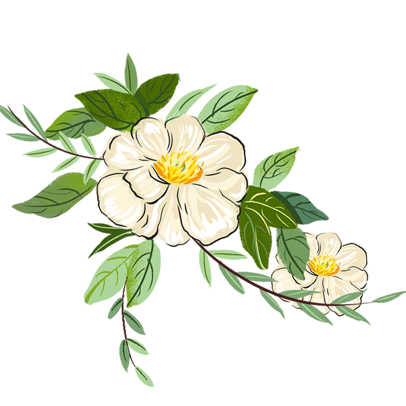 国风花卉系列插画-花枝