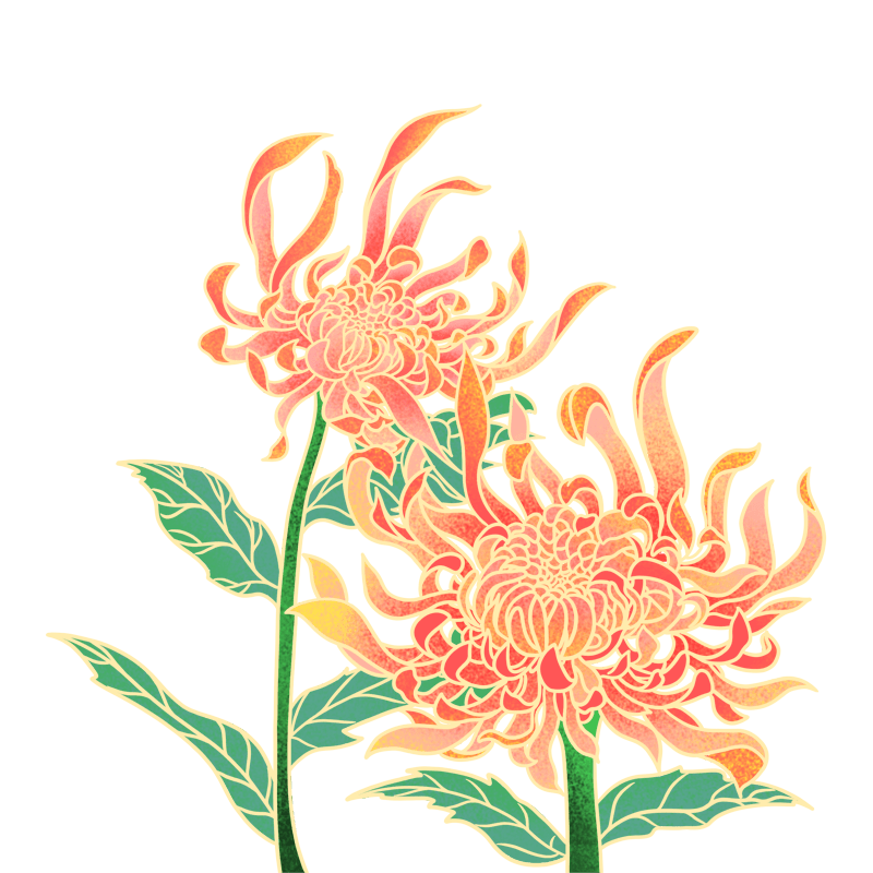 国潮菊花元素