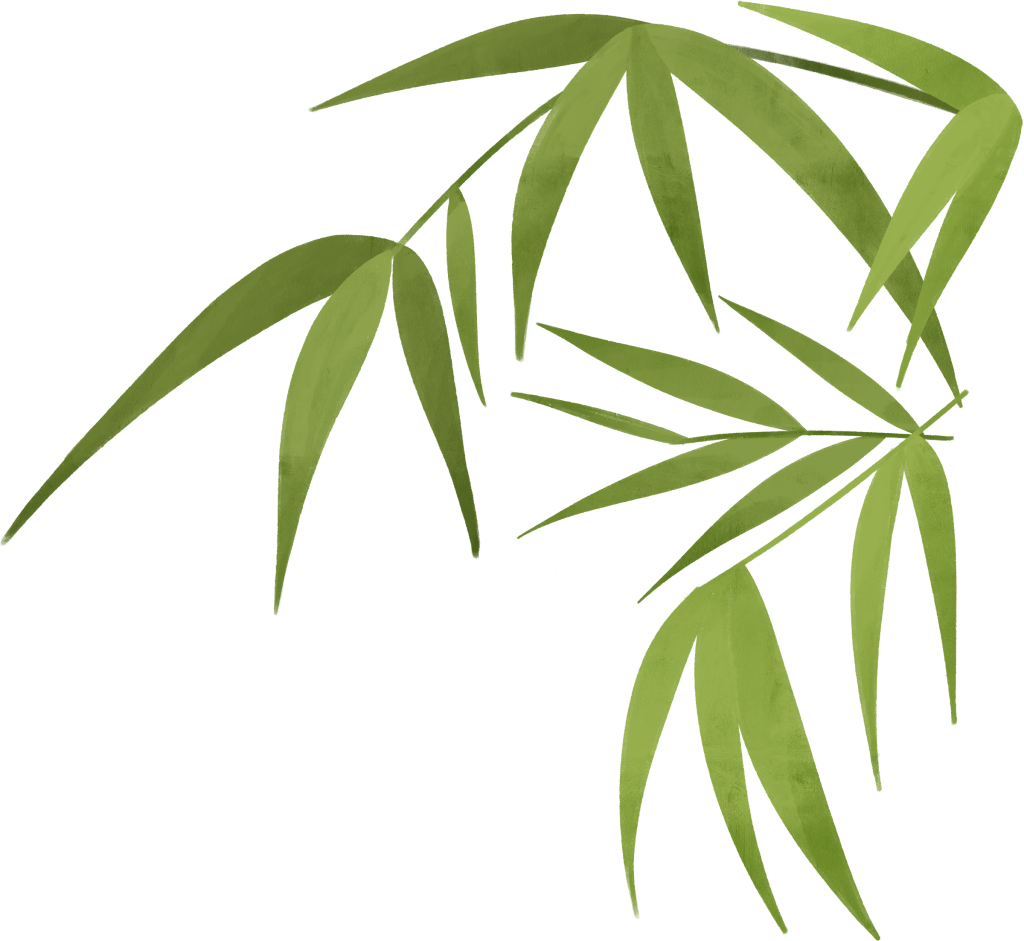 竹叶插画